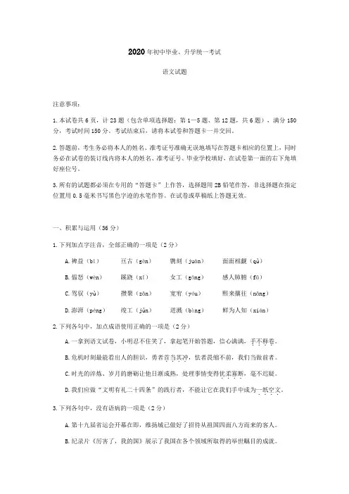 2020学年中考语文真题(word版,答案) (60)