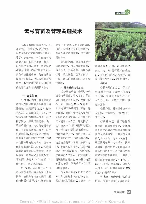 云杉育苗及管理关键技术