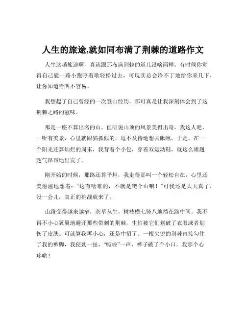 人生的旅途,就如同布满了荆棘的道路作文