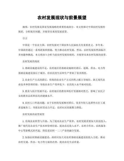 农村发展现状与前景展望
