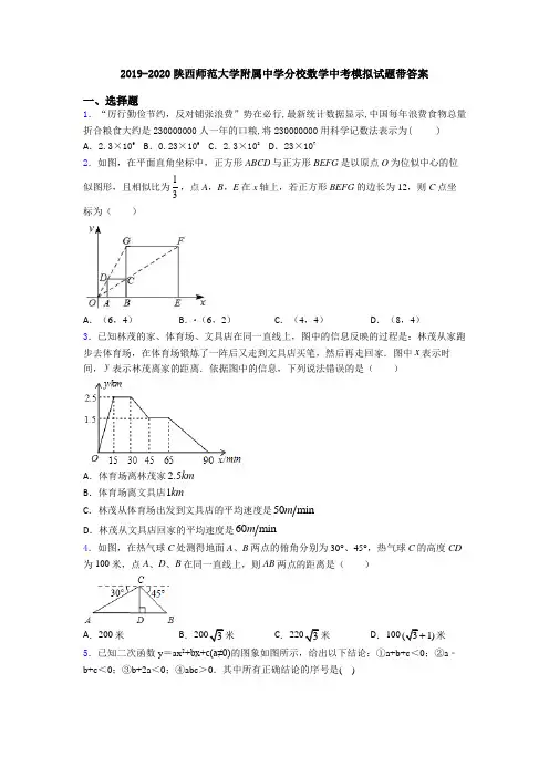 2019-2020陕西师范大学附属中学分校数学中考模拟试题带答案