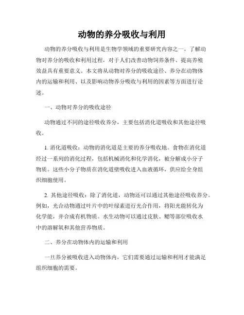 动物的养分吸收与利用