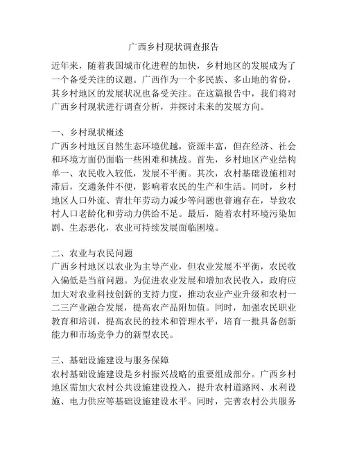 广西乡村现状调查报告