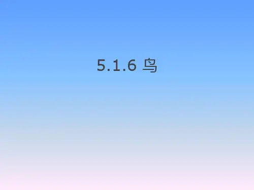 人教版八年级生物上册.6  鸟 课件