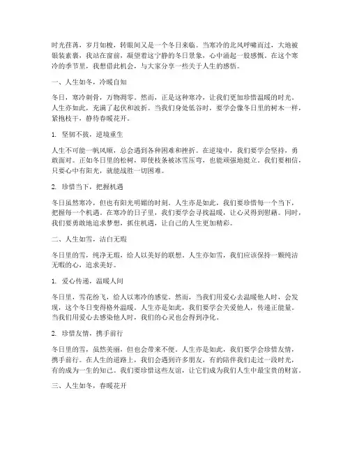 冬日感言人生感悟