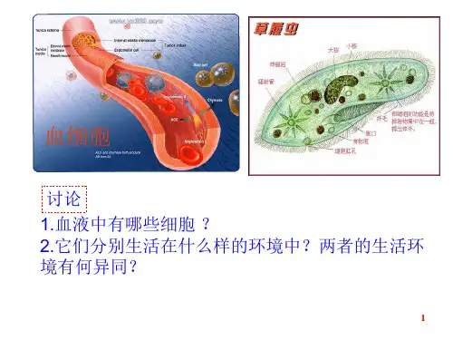 高中生物课件-人体内环境稳态及实例