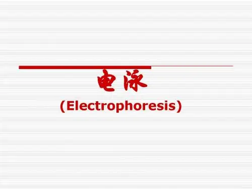 电泳
