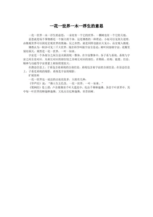 一花一世界一木一浮生的意思