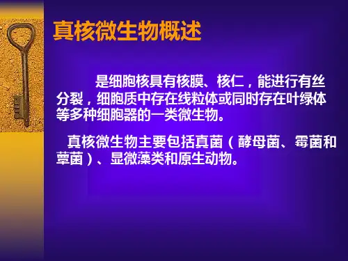 最新微生物学真核微生物PPT课件