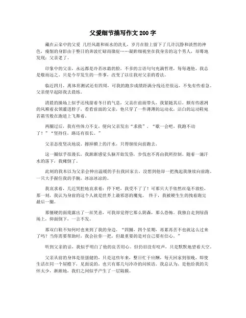 父爱细节描写作文200字