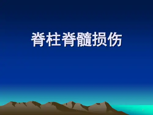 脊柱脊髓损伤课件PPT课件