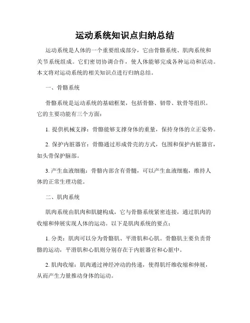 运动系统知识点归纳总结