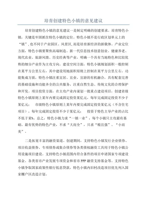 培育创建特色小镇的意见建议