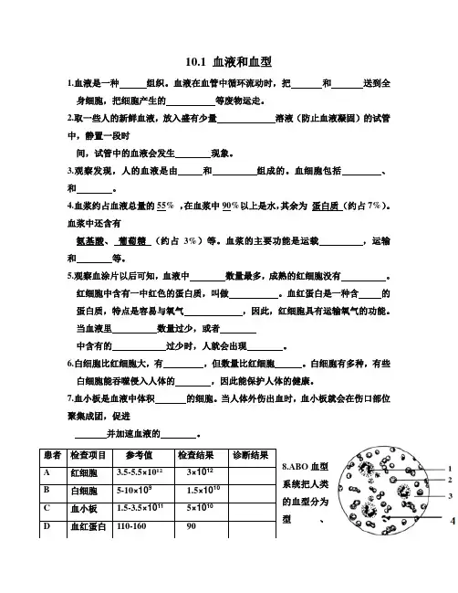 七年级下册生物第十章第一节 血液与血型