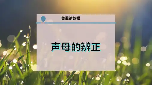 声母的辨 正