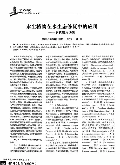水生植物在水生态修复中的应用——以贾鲁河为例
