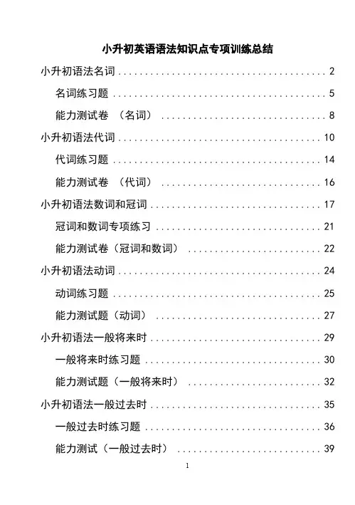 小升初英语语法知识点专项训练总结