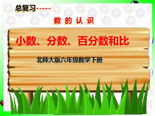 六下数学《毕业总复习小数分数百分数和比》