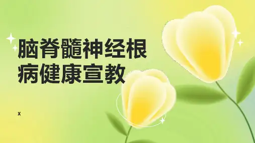 脑脊髓神经根病健康宣教