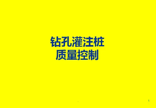 钻孔灌注桩--质量控制PPT课件