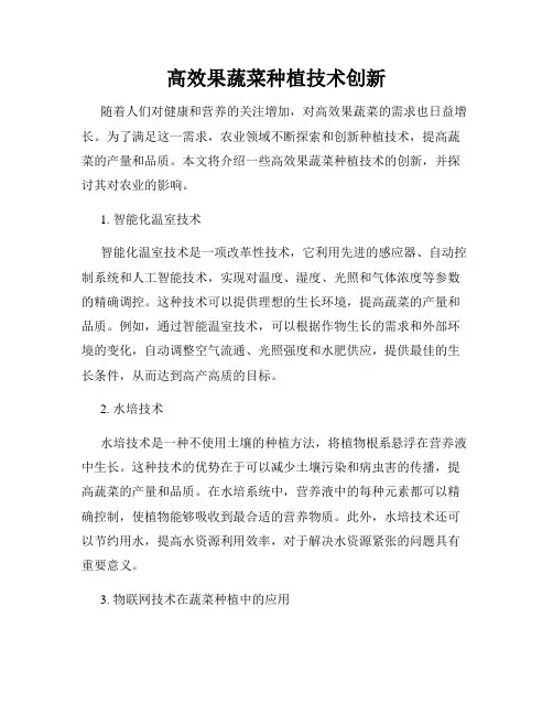 高效果蔬菜种植技术创新