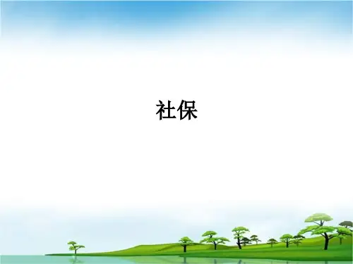 社保ppt课件