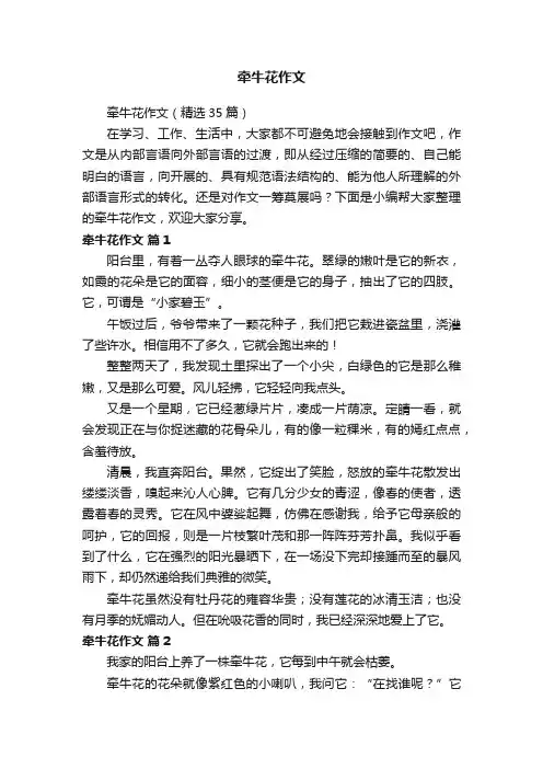 牵牛花作文（精选35篇）