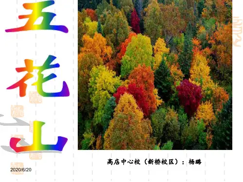五花山课件