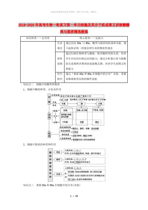 2019-2020年高考生物一轮复习第一单元细胞及其分子组成第五讲核酸糖类与脂质精选教案