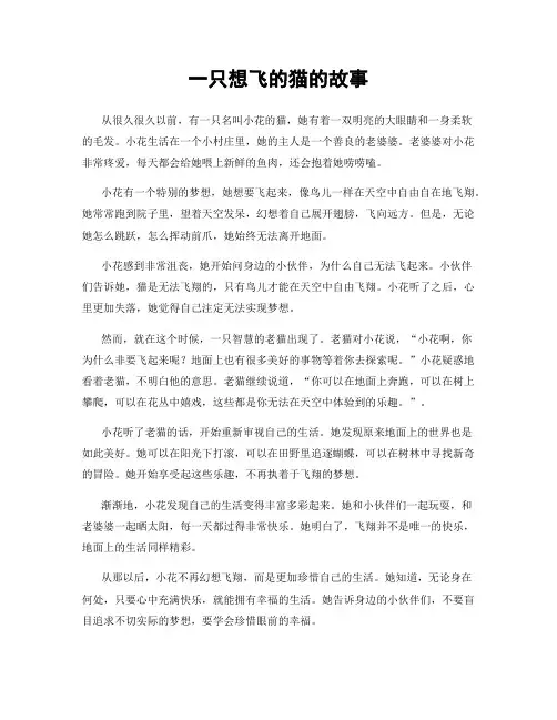 一只想飞的猫的故事