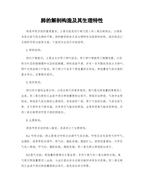 肺的解剖构造及其生理特性