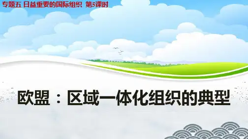 高中政治选修3精品课件9：5.5 欧盟：区域一体化组织的典型
