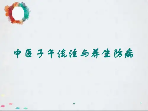 中医子午流注与养生ppt课件