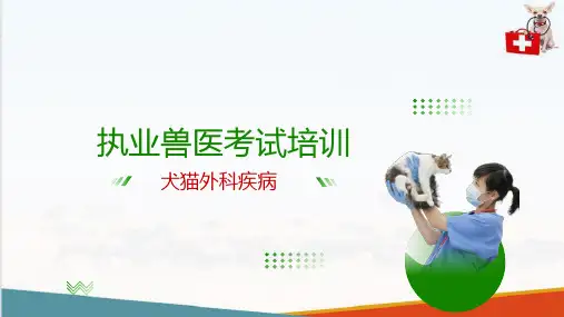 宠物外产科病—犬猫外科病的诊断与防治