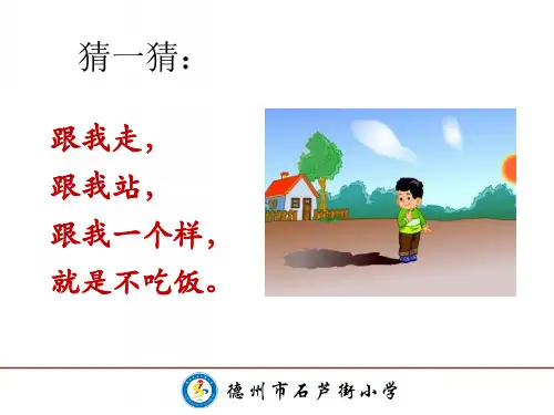 发现与探索三年级下册第一课《影子》