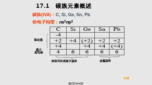 无机化学课件碳族
