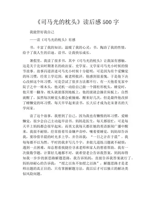 《司马光的枕头》读后感500字
