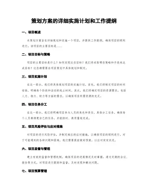 策划方案的详细实施计划和工作提纲