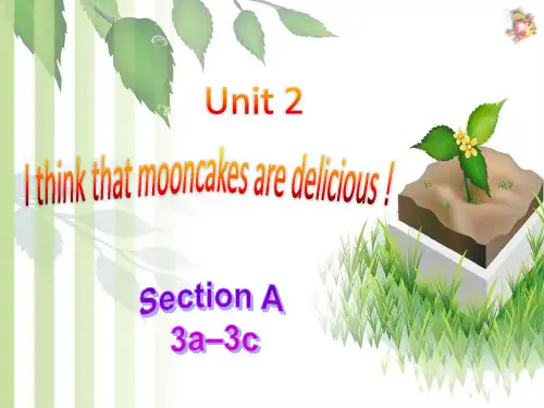 九年级人教新目标九年级英语Unit2SectionA(3a-3c)(共30张PPT)