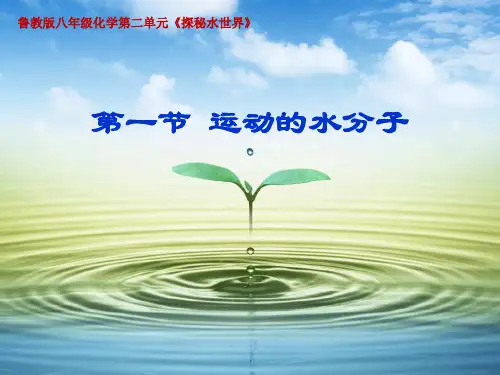 鲁教版八年级化学第二单元第一节《运动的水分子》精选优质课PPT课件