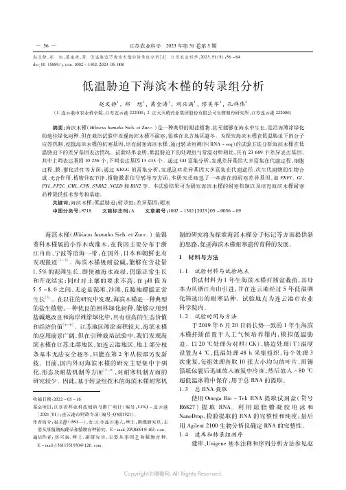 低温胁迫下海滨木槿的转录组分析