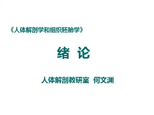 人体解剖学和组织胚胎学
