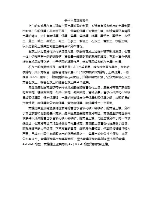 贵州土壤观察报告