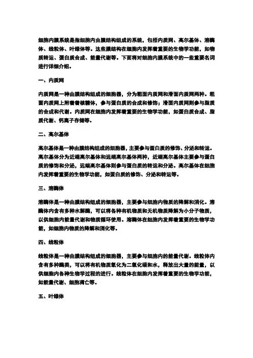 细胞内膜系统名词