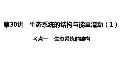高三生物一轮复习课件第30讲 生态系统的结构与能量流动(1)