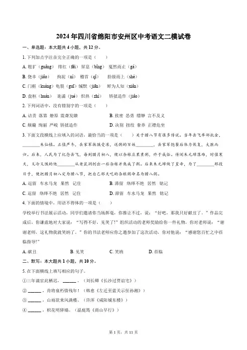 2024年四川省绵阳市安州区中考语文二模试卷(含解析)