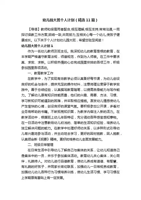 幼儿园大班个人计划（精选11篇）