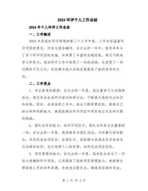 2024环评个人工作总结