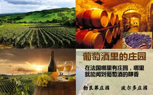 (部编版教材)西欧庄园实用PPT1