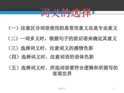 词义的选择  ppt课件